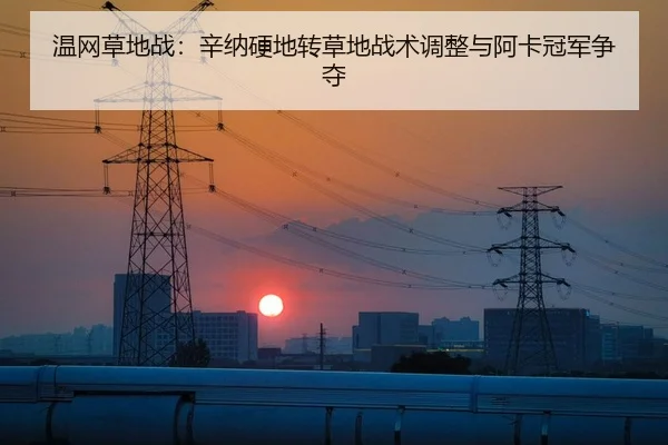 温网草地战：辛纳硬地转草地战术调整与阿卡冠军争夺
