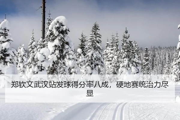 郑钦文武汉站发球得分率八成，硬地赛统治力尽显