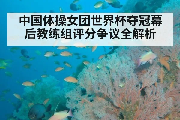 中国体操女团世界杯夺冠幕后教练组评分争议全解析
